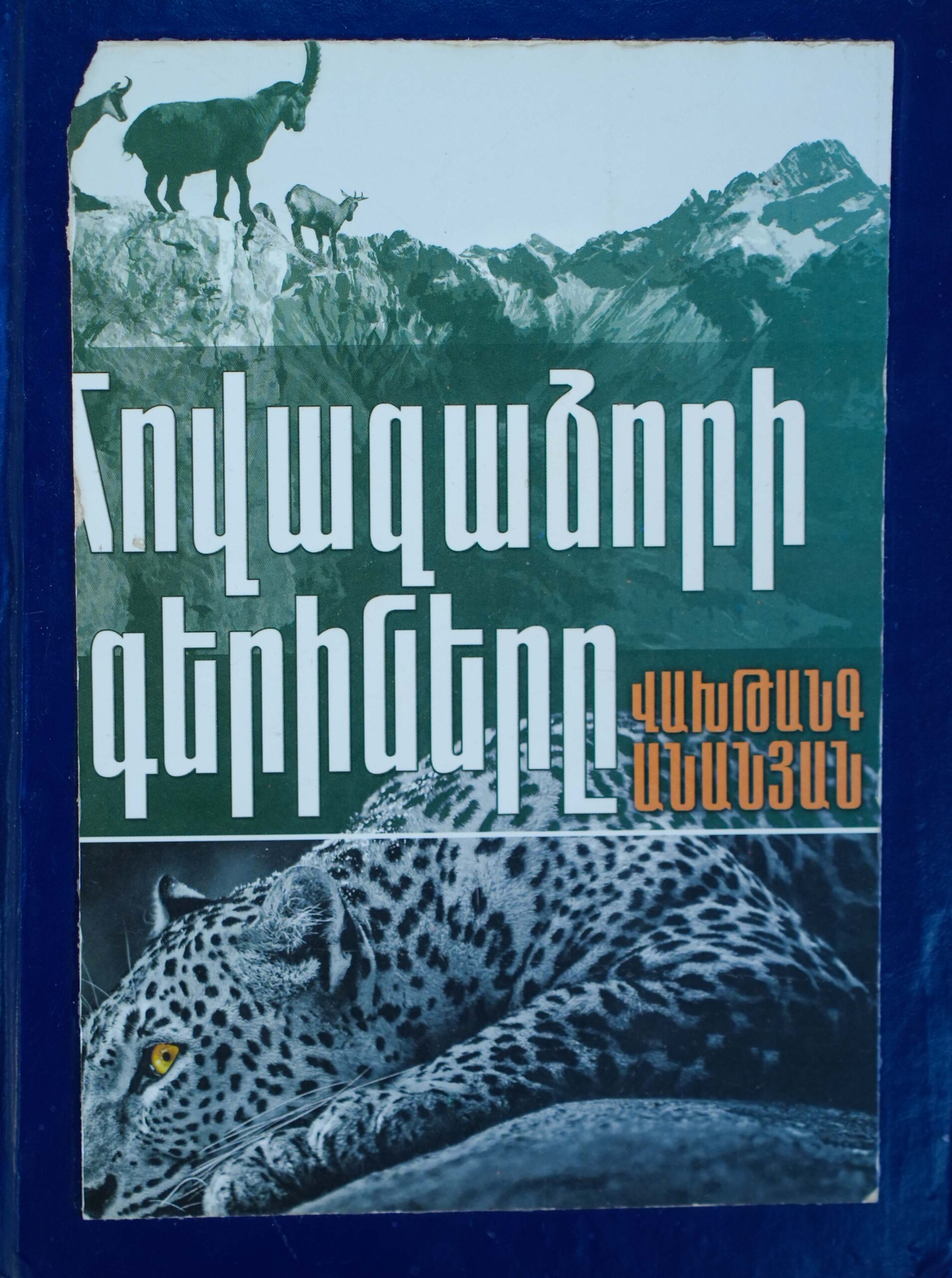 book title